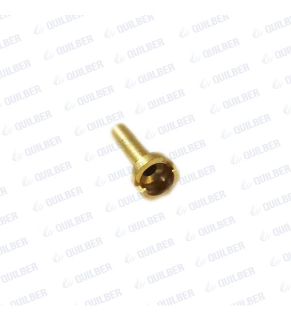 INYECTOR PARA TERMONTANQUE ESKABE ACUA PIU PILOTO - Imagen 1